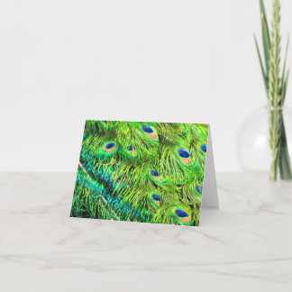 Peacock Paint Card
