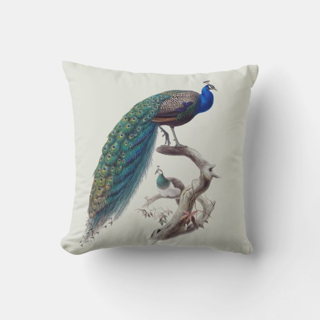 Peacock Pair Natural History Indoor Pillow R 16x16 (Front)