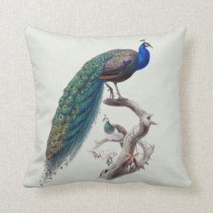 Peacock Pair Natural History Indoor Pillow R 16x16