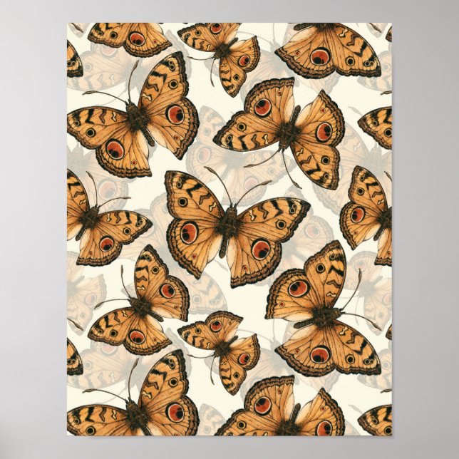 Peacock pansy butterfly pattern poster (Front)