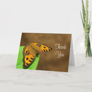 Peacock Pansy Butterfly Thank you Card