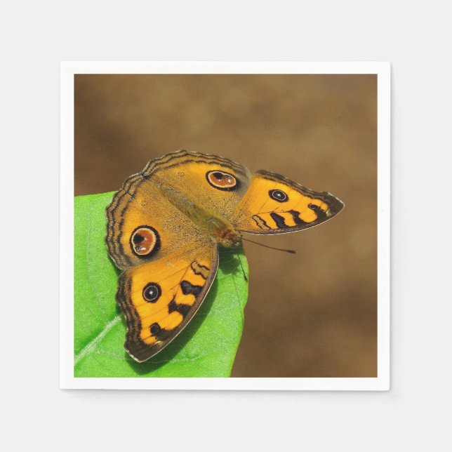 Peacock Pansy Paper Napkin (Front)