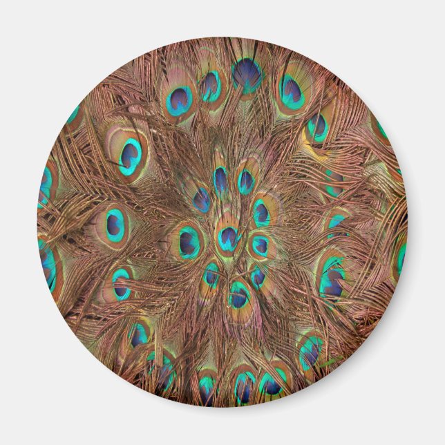 Peacock pattern Background Magnet (Front)