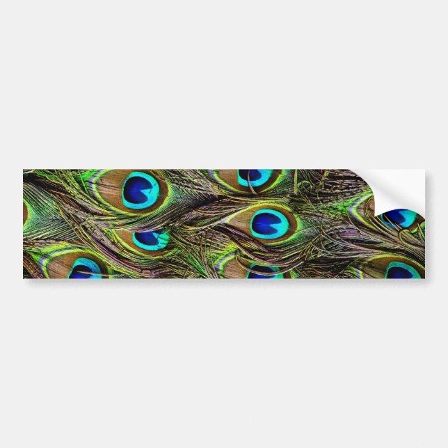 peacock pattern bumper sticker (Front)