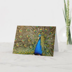 Peacock Pattern Peacock Artwork Painting Animal Ar Card