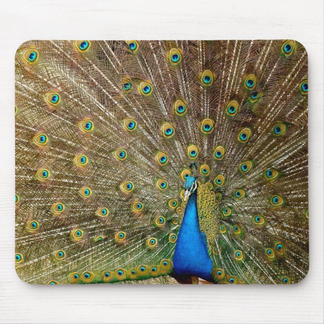 Peacock Pattern Peacock Artwork Painting Animal Ar Mouse Pad (Front)