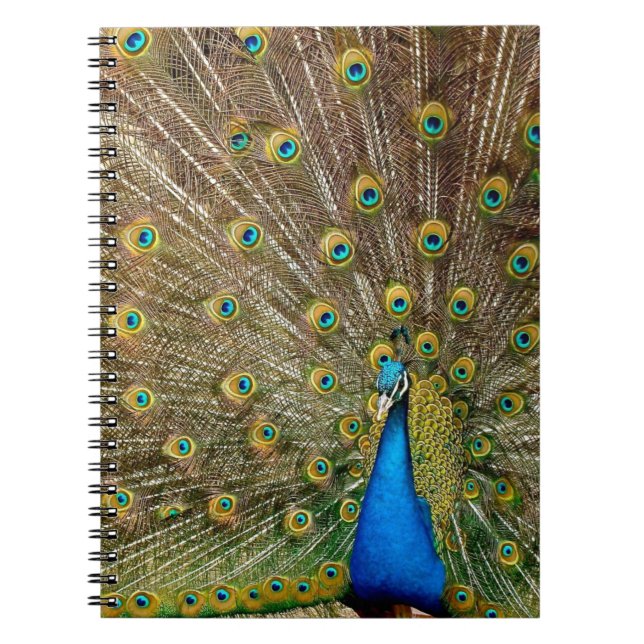 Peacock Pattern Peacock Artwork Painting Animal Ar Notebook (Front)