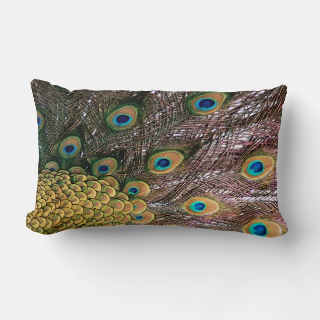 Peacock Peafowl Eyes and Feathers Lumbar Cushion (Front)
