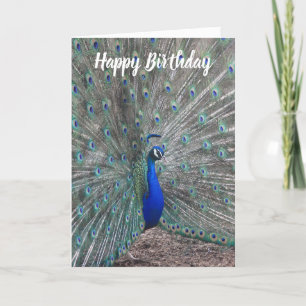 PEACOCK PHOTO HAPPY BIRTHDAY GREETING CARD