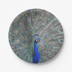 PEACOCK PHOTO PAPER PLATES