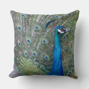 Peacock Photography Cushion