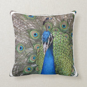 Peacock Pillow