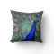 Peacock Pillow