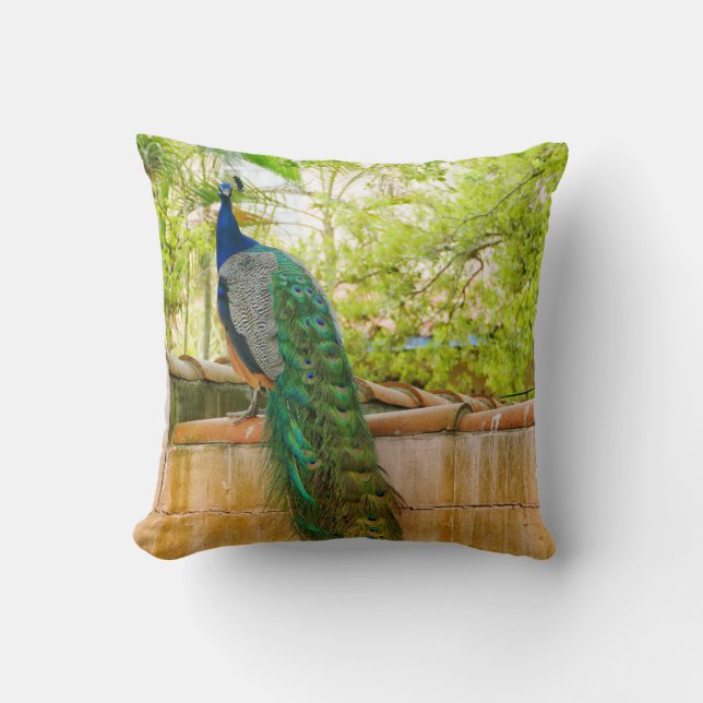 Peacock Pillow 1 (Front)