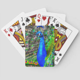Peacock Playing Cards