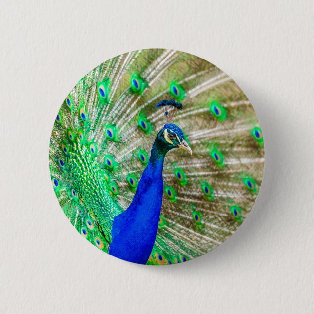 Peacock Plumage 6 Cm Round Badge (Front)
