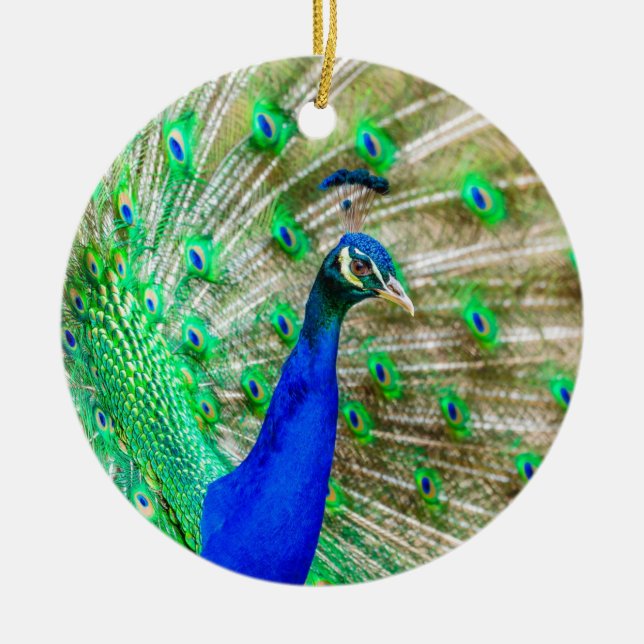 Peacock Plumage Ceramic Ornament (Front)