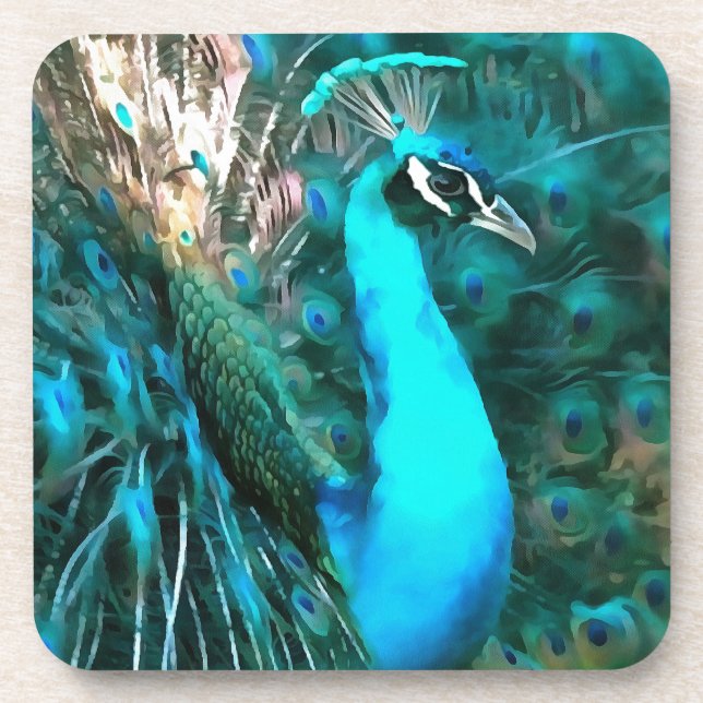 Peacock Plumage Coaster (Front)