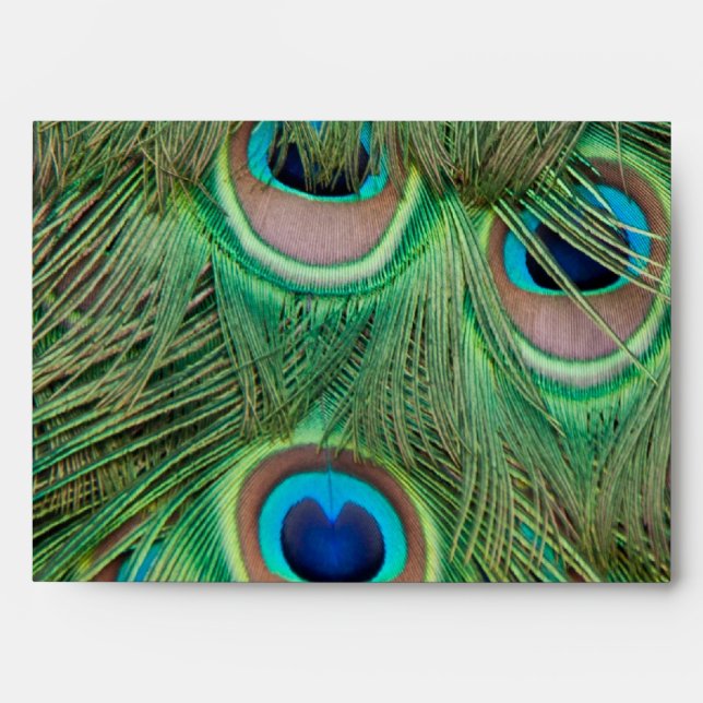 Peacock plumage envelopes (Front)