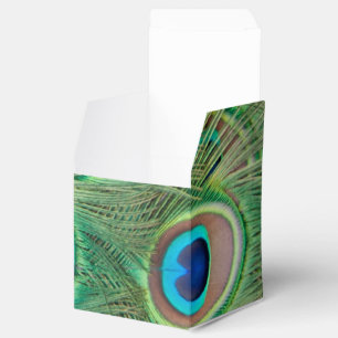 Peacock plumage favour box
