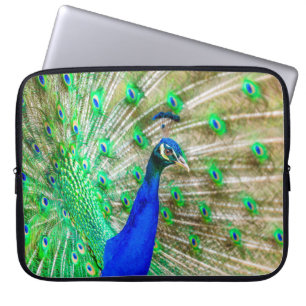 Peacock Plumage Laptop Sleeve