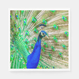 Peacock Plumage Napkin