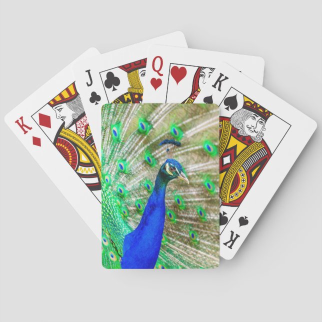 Peacock Plumage Playing Cards (Back)