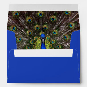 Peacock Plume Envelope