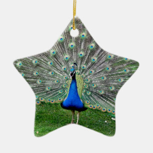 Peacock Plume Ornament