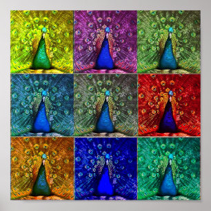 peacock pop art poster