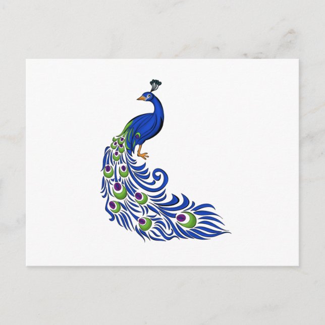 Peacock Postcard (Front)