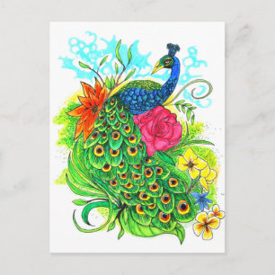 Peacock Postcard
