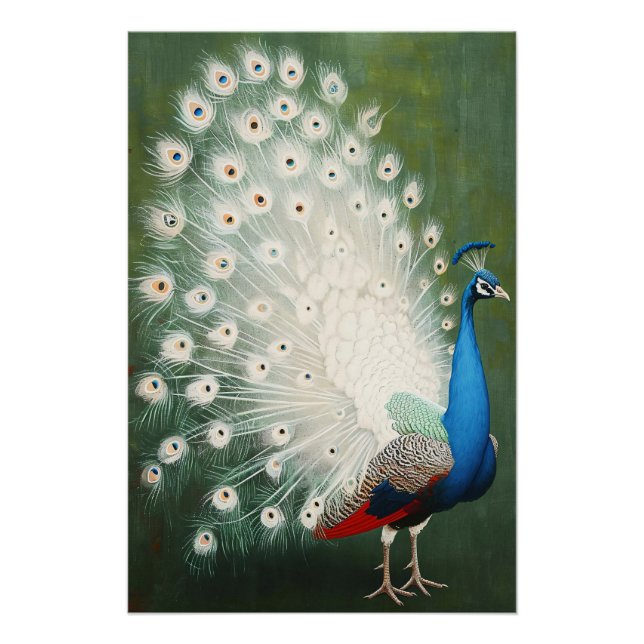 Peacock Poster (Front)