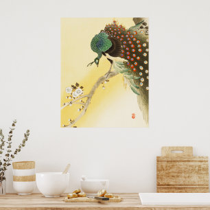 Peacock Poster