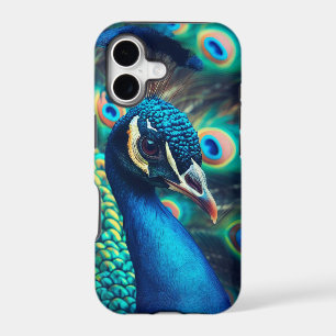 Peacock Profile