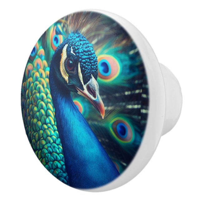 Peacock Profile Ceramic Knob (Right)