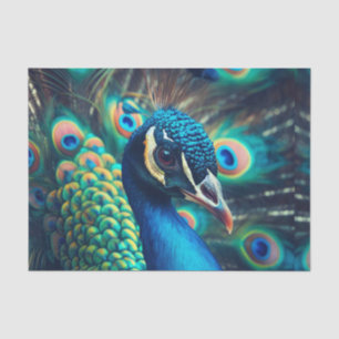 Peacock Profile Tissue Paper