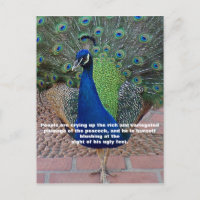 Peacock Quote Postcard