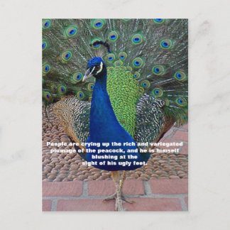 Peacock Quote Postcard