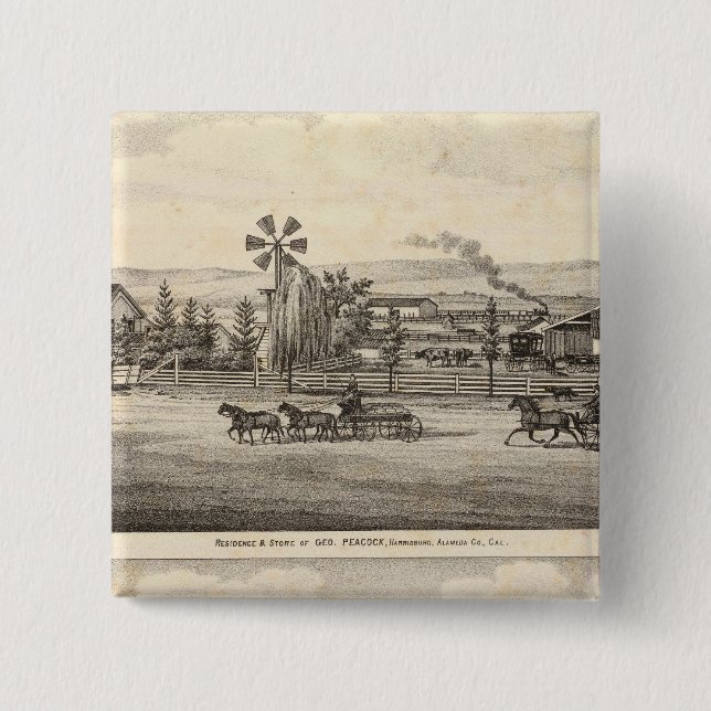 Peacock res, Willow Glen 15 Cm Square Badge (Front)