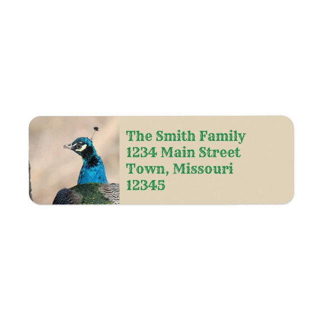Peacock Return Address Label (Front)