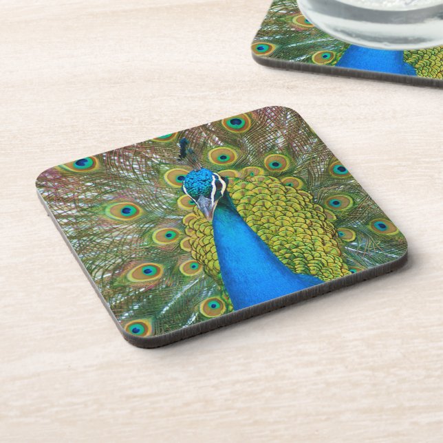 Peacock S9K.jpg Coaster (Left Side)