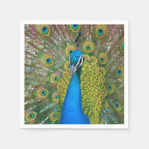 Peacock S9K.jpg Napkin