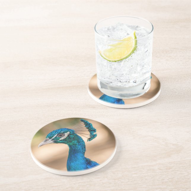 Peacock Sandstone Coaster (Side)