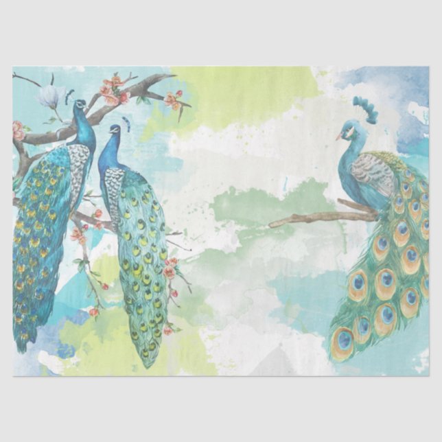 Peacock Series Design 2 Tissue Paper (Front)