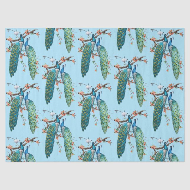 Peacock Series Design  6 Blue Tissue Paper (Front)