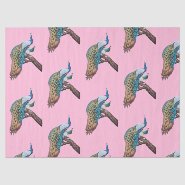 Peacock Series Design  9 Pink Tissue Paper (Front)