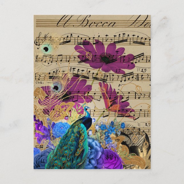 Peacock, Sheet Music, and Flowers Postcard (Front)