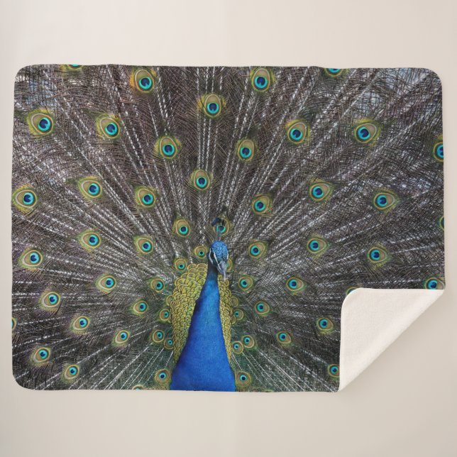 PEACOCK SHERPA BLANKET (Front (Horizontal))