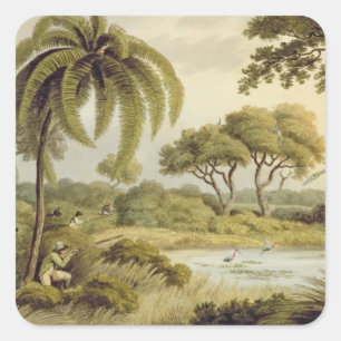 Peacock Shooting, from "Oriental Field Sports", pu Square Sticker